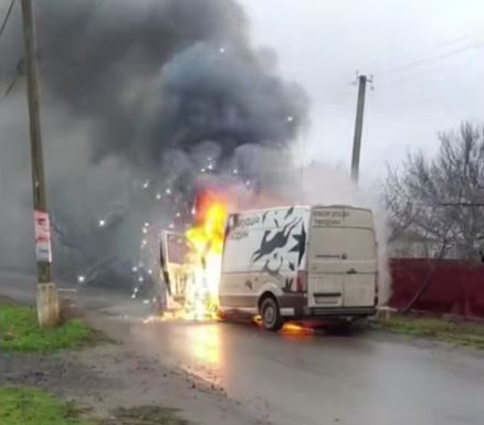 атака авто тварини1