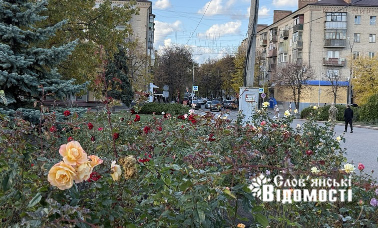 photo 2025 12 05 16 53 37