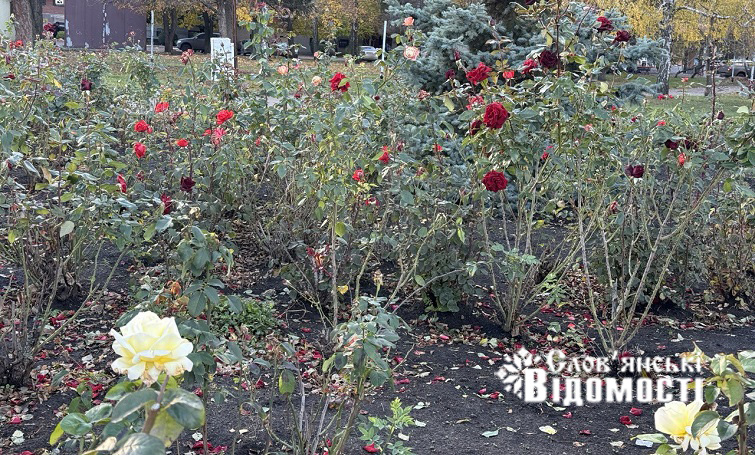 photo 2025 12 05 16 53 42