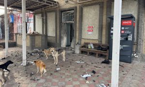 У Святогірську закривають останнє відділення Нової пошти