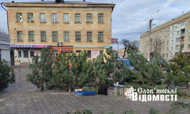 photo 2025 12 24 12 35 31 2