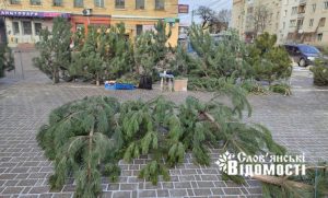 Де у Слов’янську купити ялинку: перелік офіційних локацій