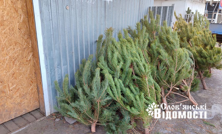 photo 2025 12 24 15 54 52