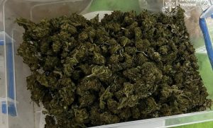 У Билбасівці викрито наркосхему з мільйонним обігом