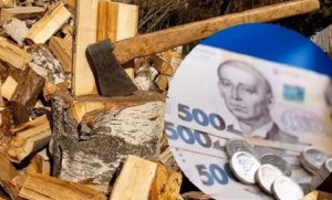 Допомогу на опалення вже отримали понад 1,1 тисячі домогосподарств з прифронтових районів