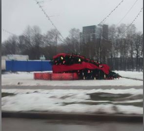 Ялинка брянськ