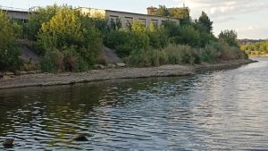  З річки Казенний Торець небезпечно використовувати воду для побутових потреб та риболовлі