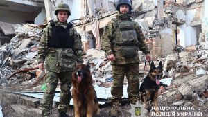 Службові собаки допомогли розкрити понад 80 злочинів на Донеччині