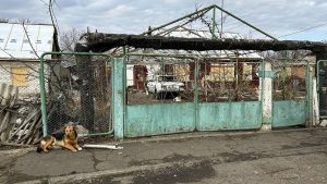 12 січня увечері російські війська обстріляли Миколаївку з РСЗВ “Смерч”