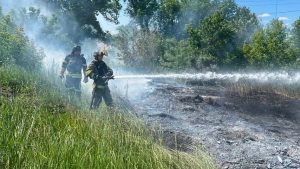 Спалювання сухостою ледь не призвело до масштабної пожежі в Ясногірці