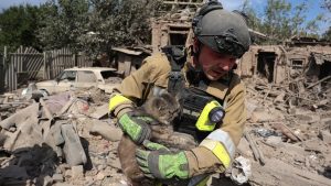 У Краматорську на місці авіаудару надзвичайники врятували кота
