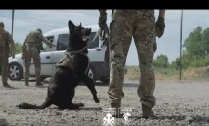 Чотирилапі гвардійці 18-ї бригади блокують вивезення трофейної зброї з Донбасу (відео)