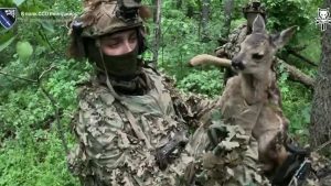 Врятоване оленятко та троє полонених росіян: результативний наліт ССО (відео)