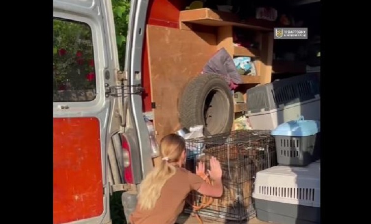 За два дні з Краматорська та Слов’янська евакуювали понад 50 тварин (фото, відео)