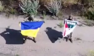 Черговий результат «Вівальді»: бійці ЗСУ підняли українські прапори у п’яти селах Донеччини