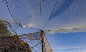 У прифронтових районах пришвидшують будівництво антидронового захисту доріг