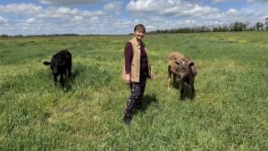 Три корови, три собаки та 8 котів – все багатство родини з села Іванівка Черкаської громади
