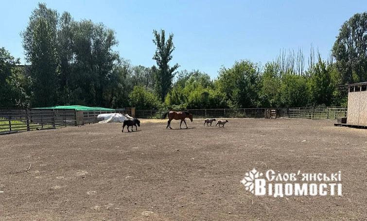 Зоопарк у Слов’янську зачиняється — тварин перевезуть на Полтавщину