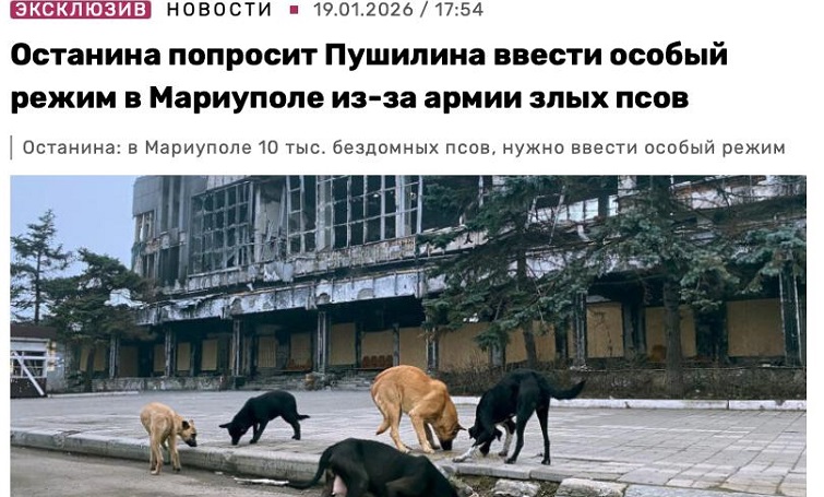У Маріуполі окупаційна влада планує відстріл безпритульних собак