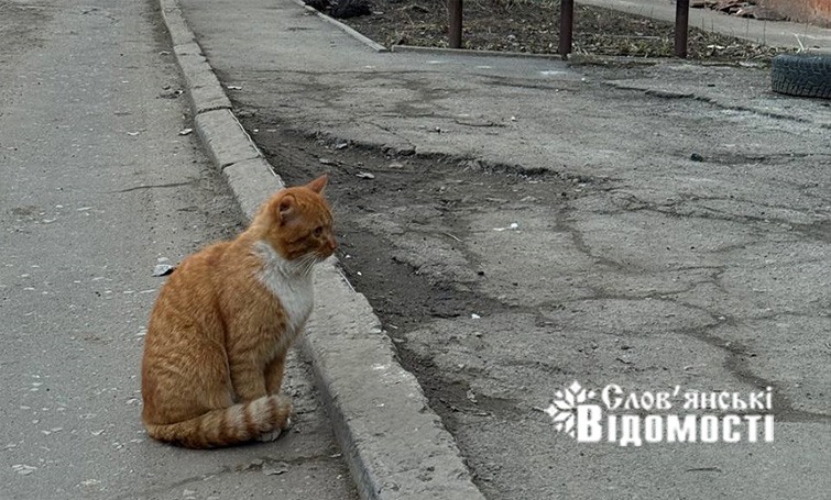 У четвер у Слов’янську мінлива хмарність