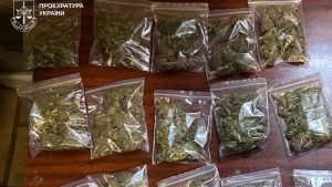 У Краматорську ліквідували наркосхему з канабісом із обігом до мільйона гривень на місяць