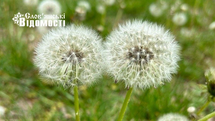 У суботу в Слов’янську +27