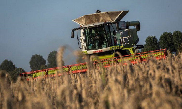 Фермери України отримають нові дотації на добрива та зрошення