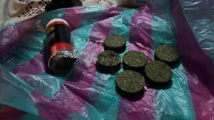 Перед судом постане родина з Донеччини, яка продавала канабіс у двох областях
