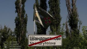 Шандриголове росія перетворила на руїни: фото звільненого села