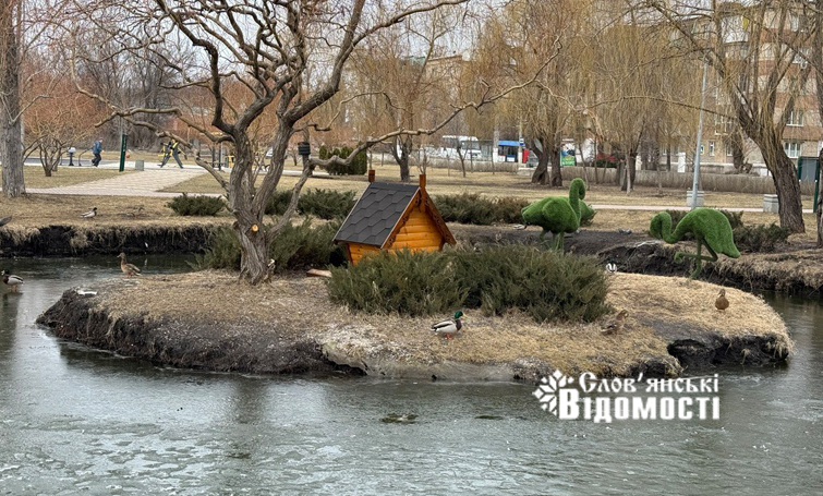 Крижаний балет у Шовковичному: як слов’янські качки вчать нас спокою