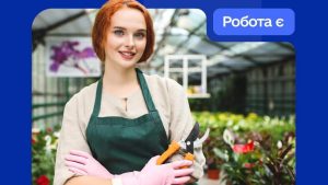 Робота для ВПО на Київщині